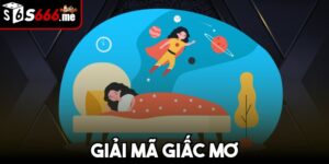 Giải mã giấc mơ s666